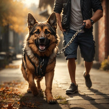 Load image into Gallery viewer, German Shepard