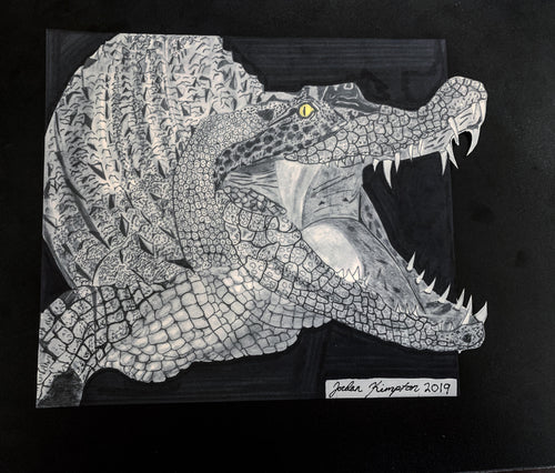 Crocodile 3D- Original