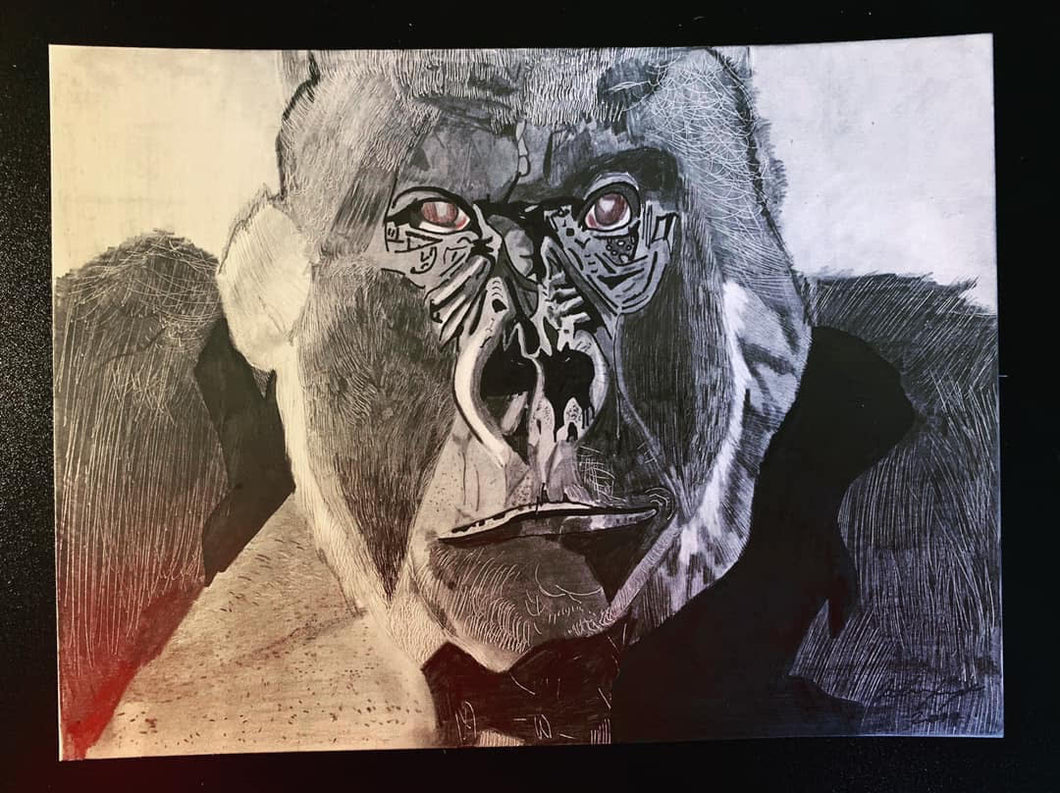 Silverback- Print